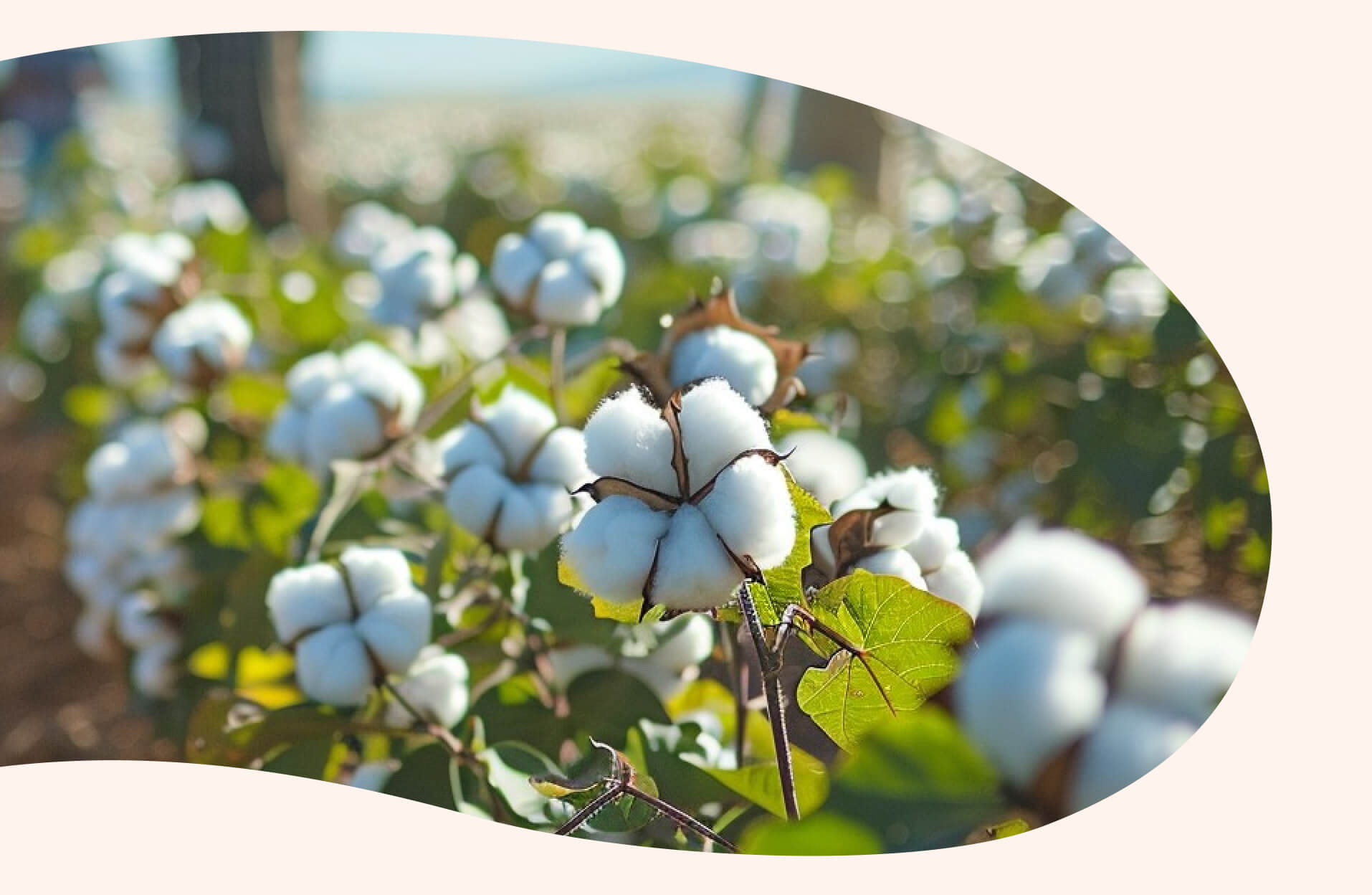 Товары гигиены Helpmate из натурального сырья